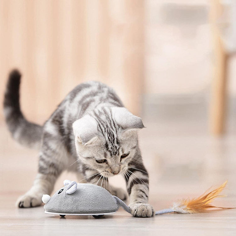 Brinquedos Interativos Para Gatos- Automático