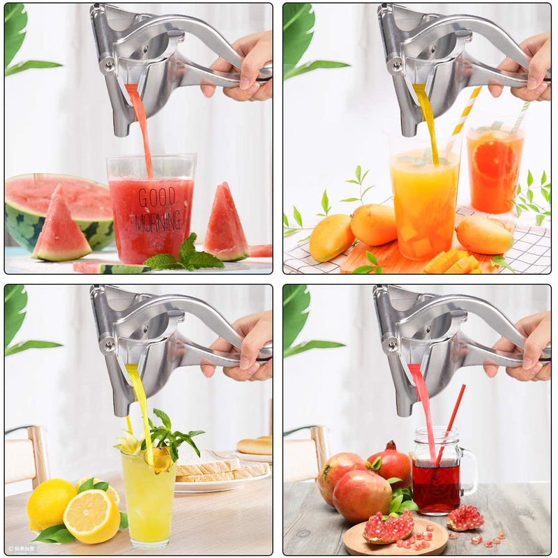 Juice Squeezer Aluminum - Reino das Variedades