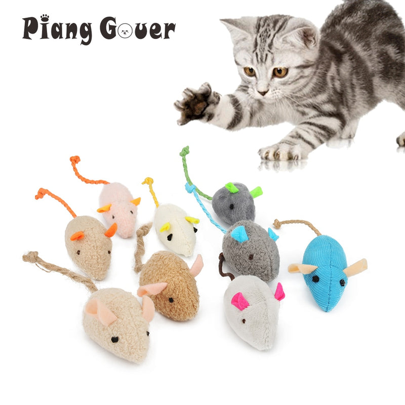 Brinquedos Para Gatos Piang Gover(6 Peças)