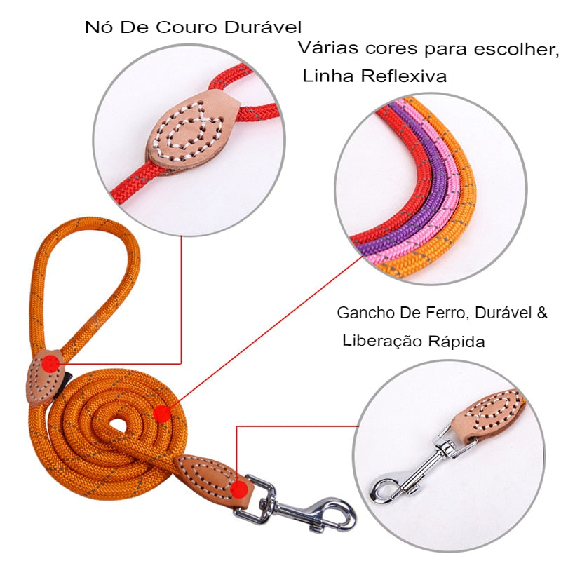 Coleira Ajustável PetStrap